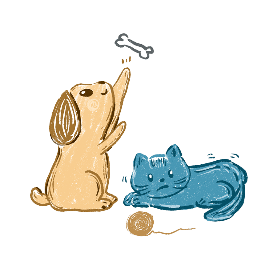 Pet illustration